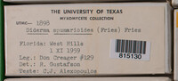 Image Associated With the Occurence